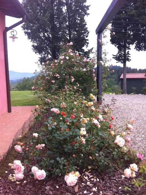 Azienda Agrituristica Bellavista Villa Montespertoli Exteriör bild