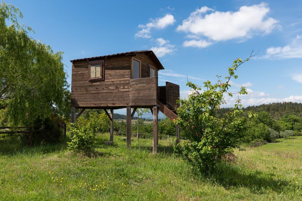Azienda Agrituristica Bellavista Villa Montespertoli Exteriör bild